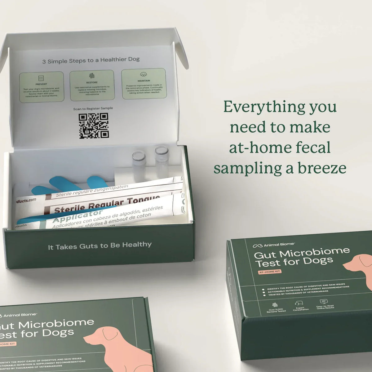 Gut Microbiome Test for Dogs